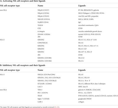 Underlying mechanisms of evasion from NK cells as rationale for improvement of NK cell-based immunotherapies